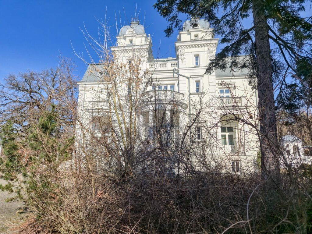 Pałac w Teresinie, widok pałacu od strony parku