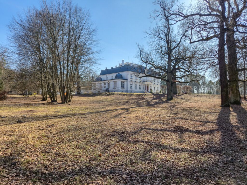 W parku