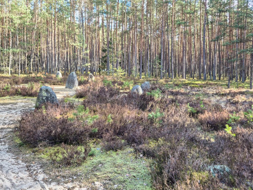 Rezerwat Kręgi Kamienne w Grzybnicy, krąg podwójny